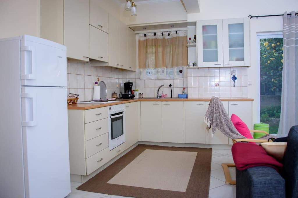 Apartment Stefkas Apartment2